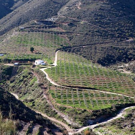 Вилла Cortijo El Rancho Albanchez Экстерьер фото