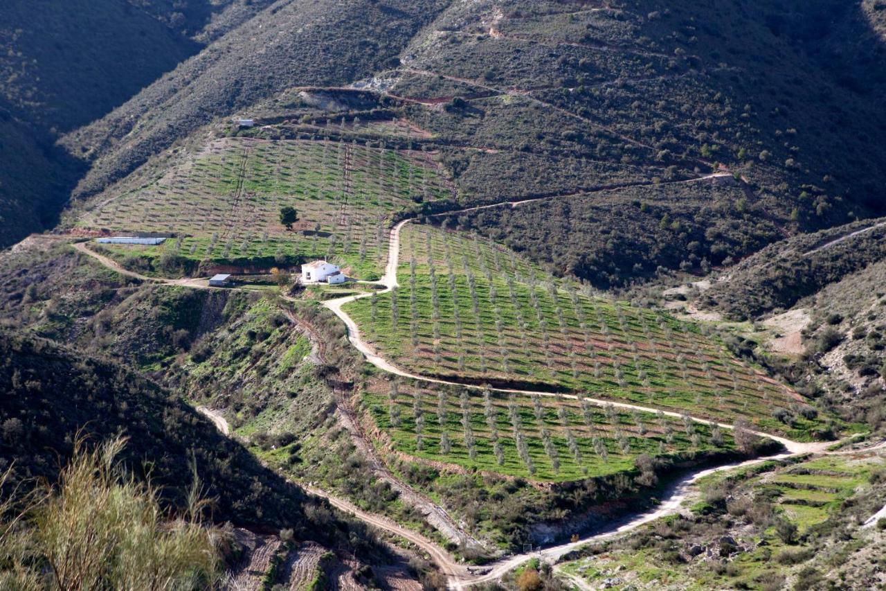 Вилла Cortijo El Rancho Albanchez Экстерьер фото