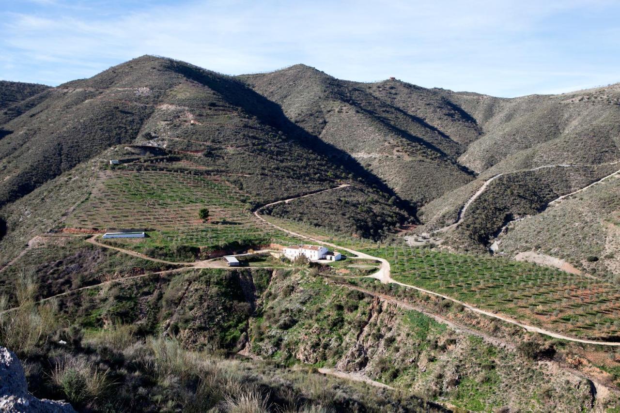 Вилла Cortijo El Rancho Albanchez Экстерьер фото